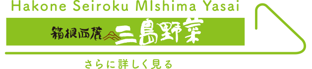 箱根西麓三島野菜