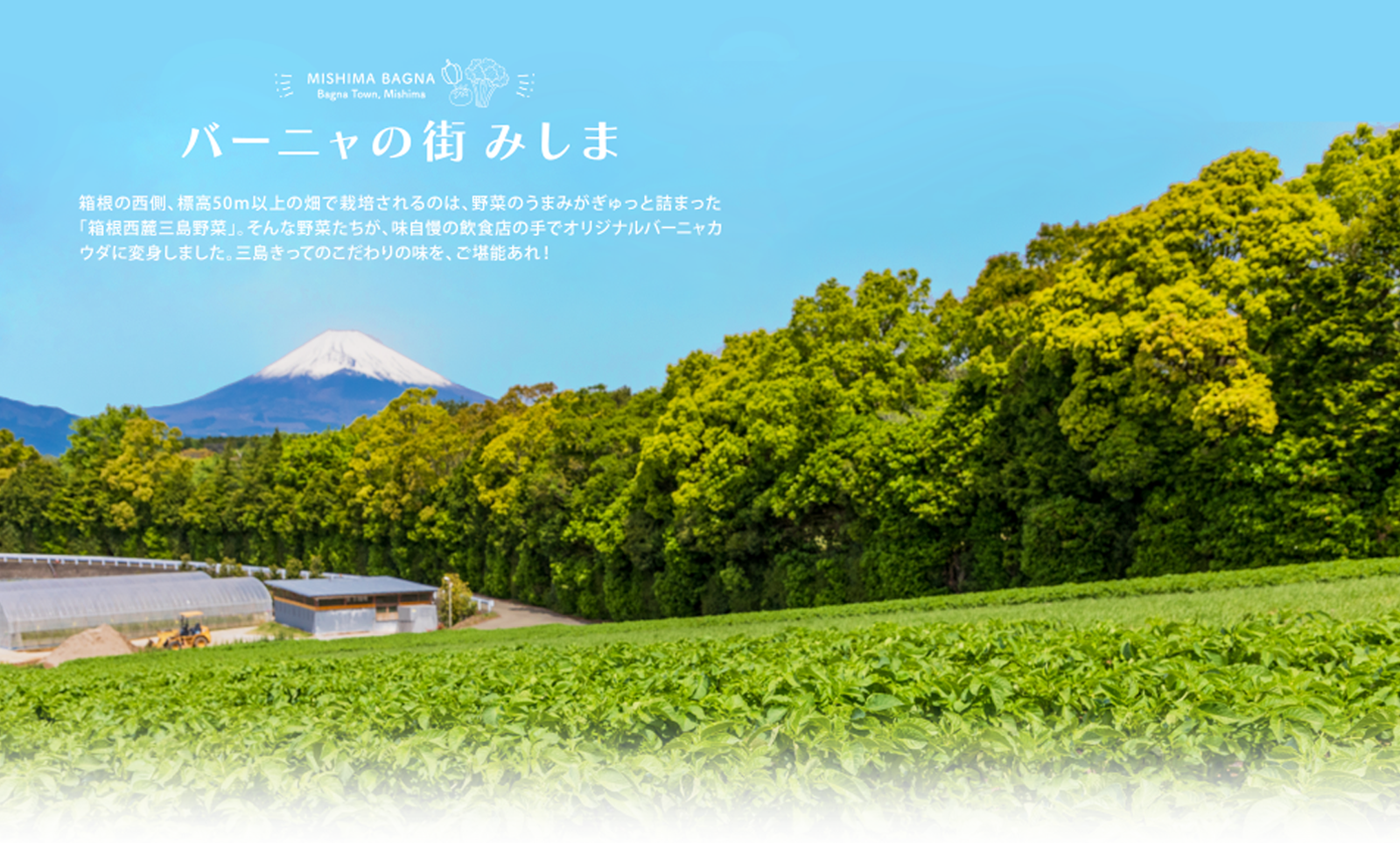 バーニャの街 みしま