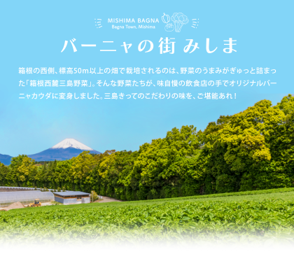 バーニャの街 みしま